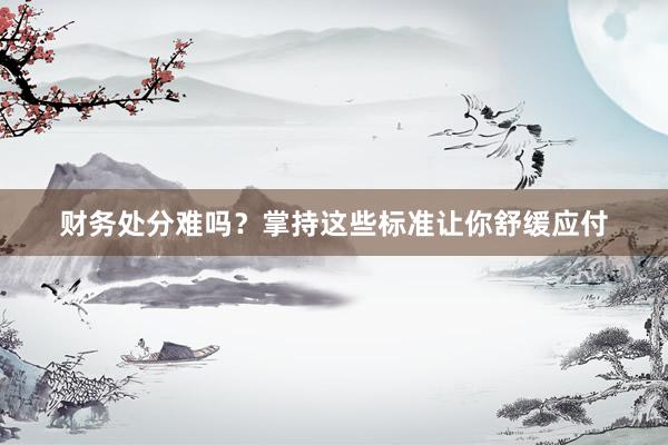 财务处分难吗？掌持这些标准让你舒缓应付