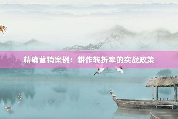 精确营销案例：耕作转折率的实战政策