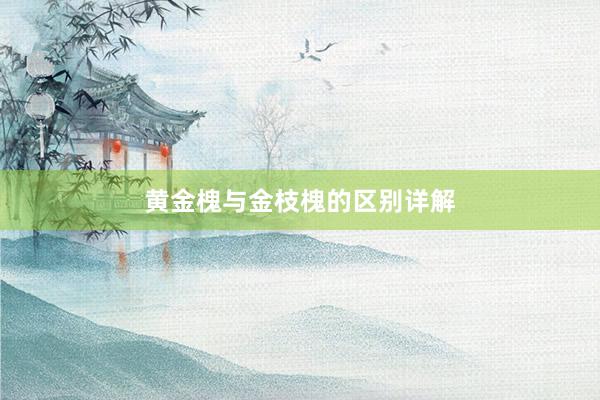 黄金槐与金枝槐的区别详解