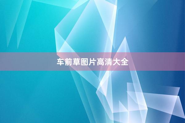 车前草图片高清大全