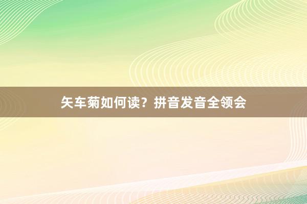矢车菊如何读？拼音发音全领会