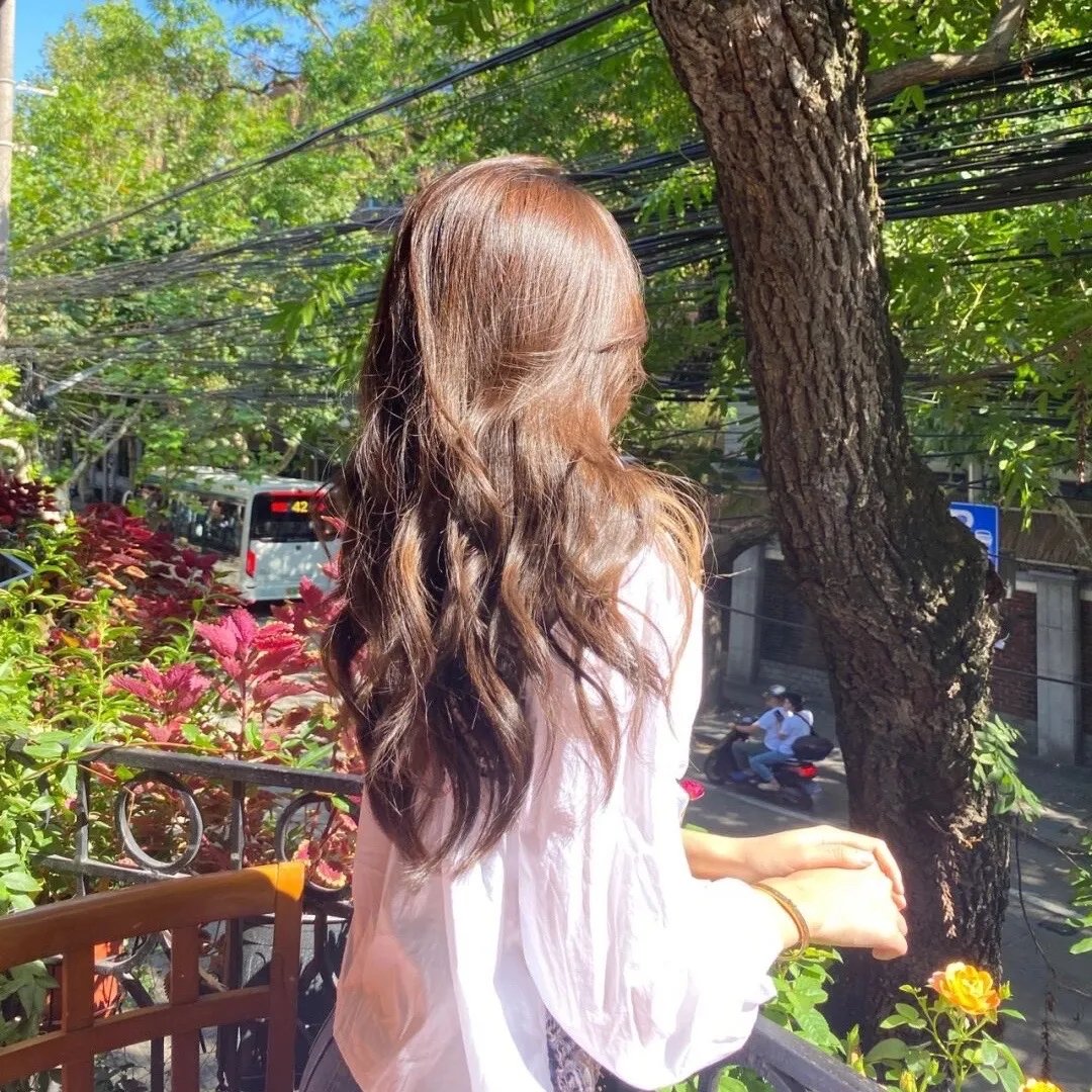 何故惊鸿入梦来